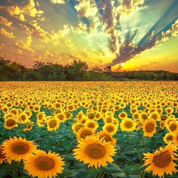 Reasonable Offers Please - Picture 1 of 1